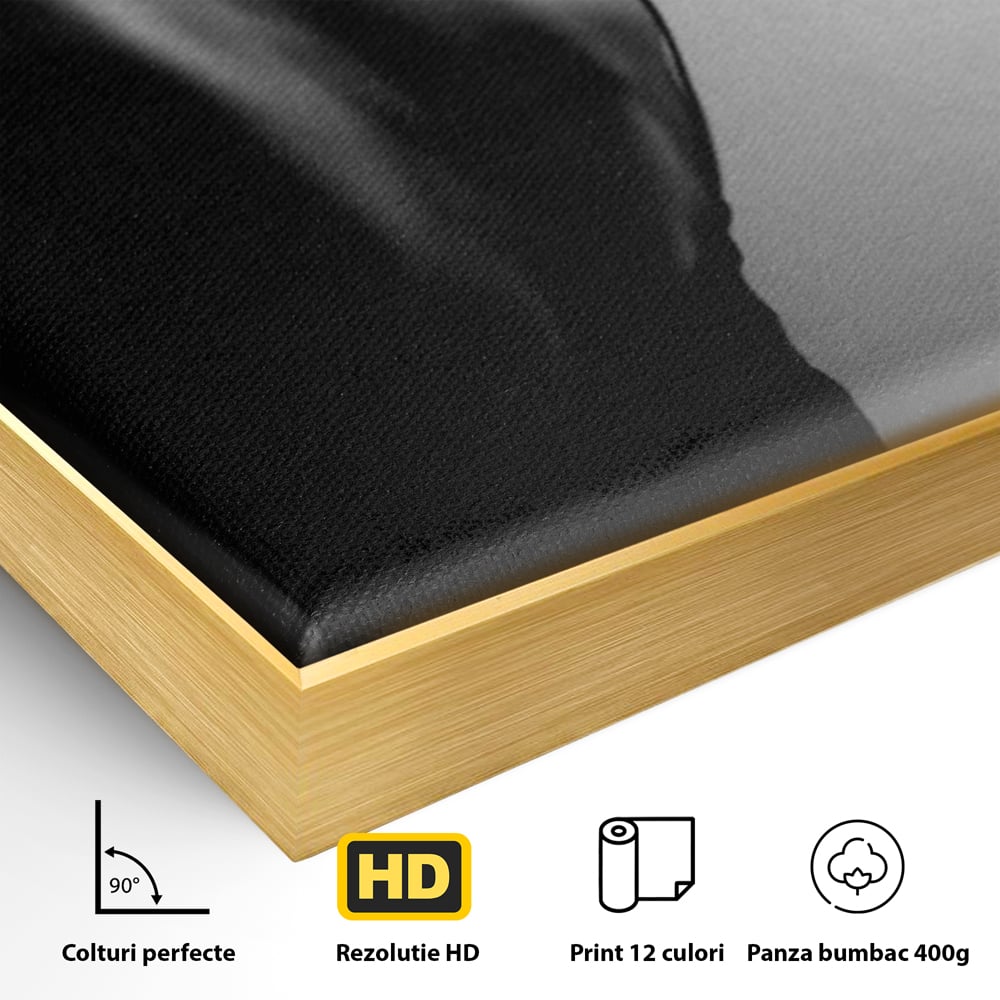 Detaliu al suprafetei: tablou canvas cu silueta feminina monocroma, in rama de aluminiu auriu